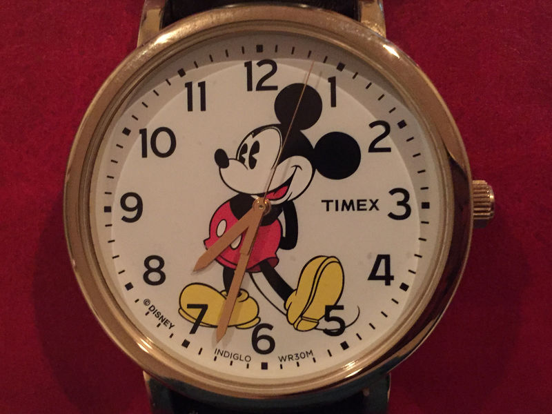 Lịch sử thương hiệu đồng hồ Timex